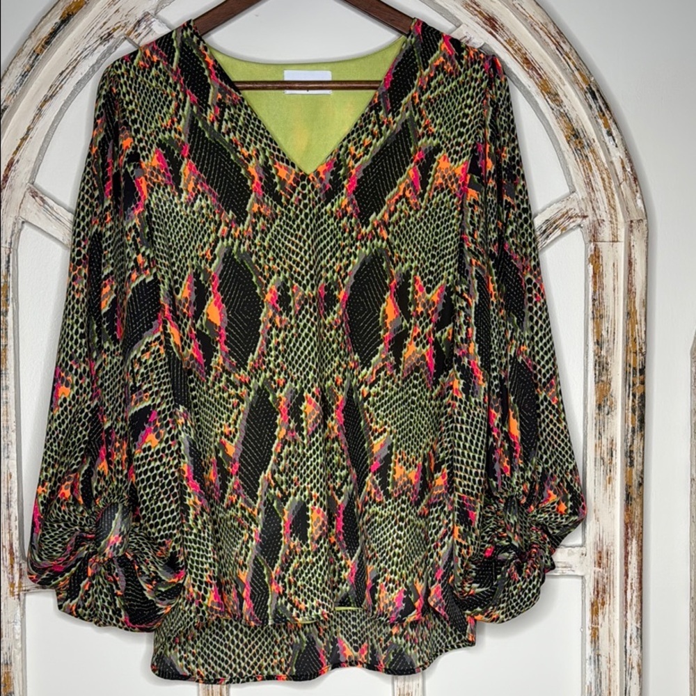 Adrienne Multicolor Snake Print V-Neck Blouse